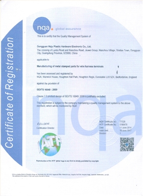 TS16949英文版