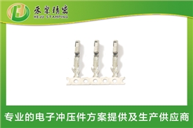 新能源汽车母端子3